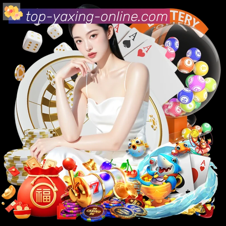 亚星体育荣誉